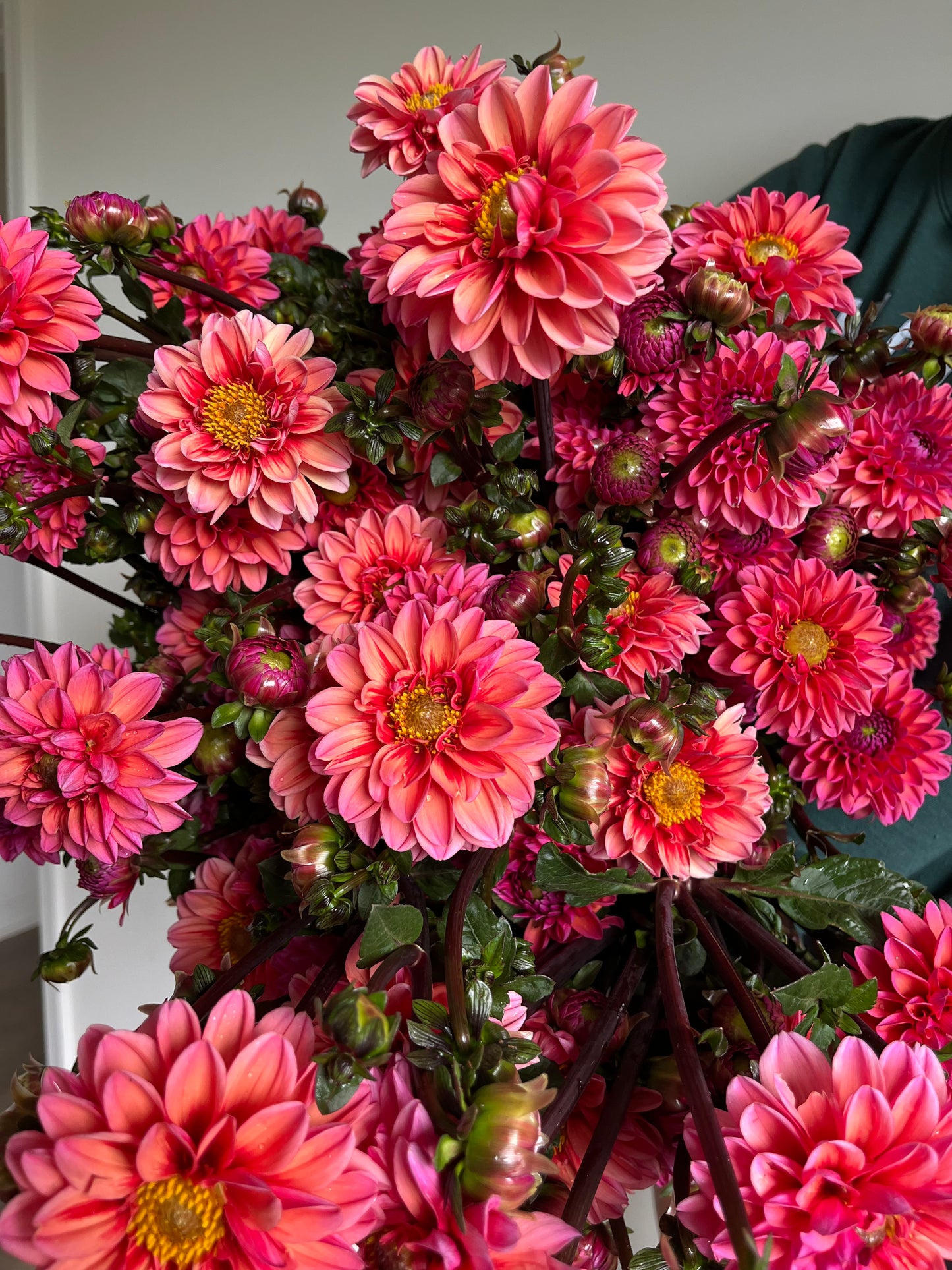Dahlia Bouquet Subscription