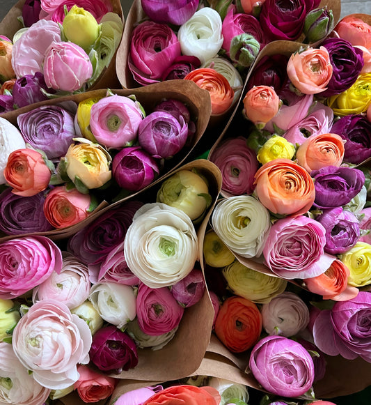 Spring Ranunculus Subscription