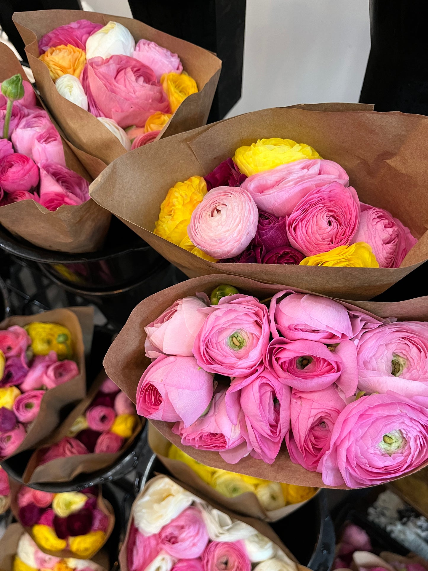 Spring Ranunculus Subscription