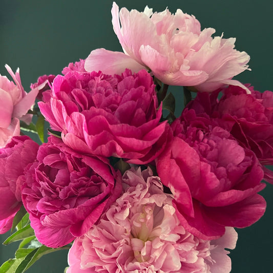 Subscription Add On Peony Bunch