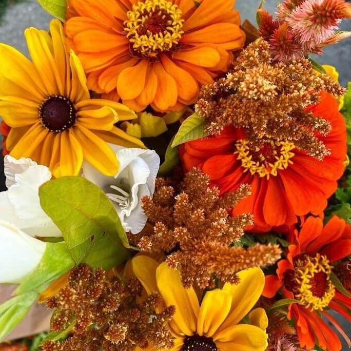 2023 Laurilyn Flower Farm Season Pass