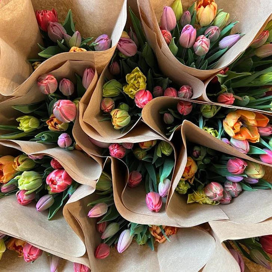 Wholesale Tulip Mixed Case (100 stems)