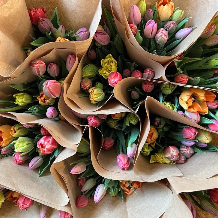 Spring Tulip Bouquet Subscription